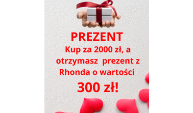 PREZENT ZA 300 PLN